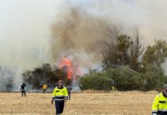 שריפה ליד כביש 1