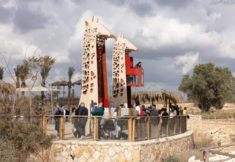 ג’ירפות מדבריום