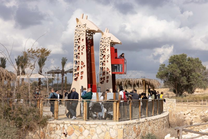 ג’ירפות מדבריום