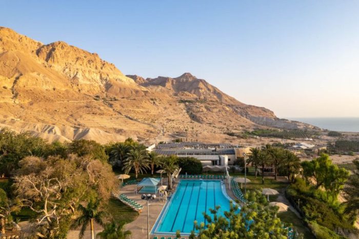 מלון עין גדי