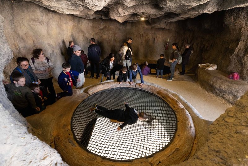 פעילות לילדים לחופש הגדול במדבריום