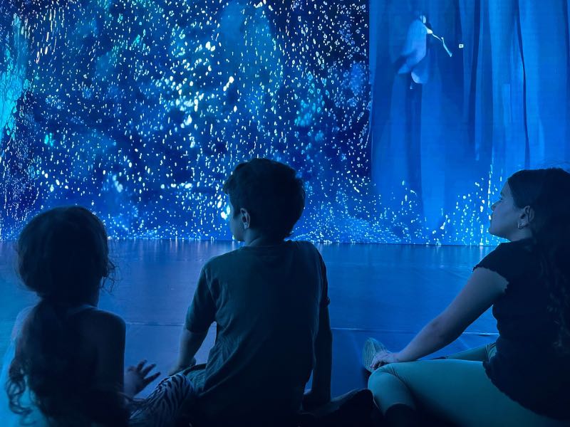 Snow park tel aviv 2025