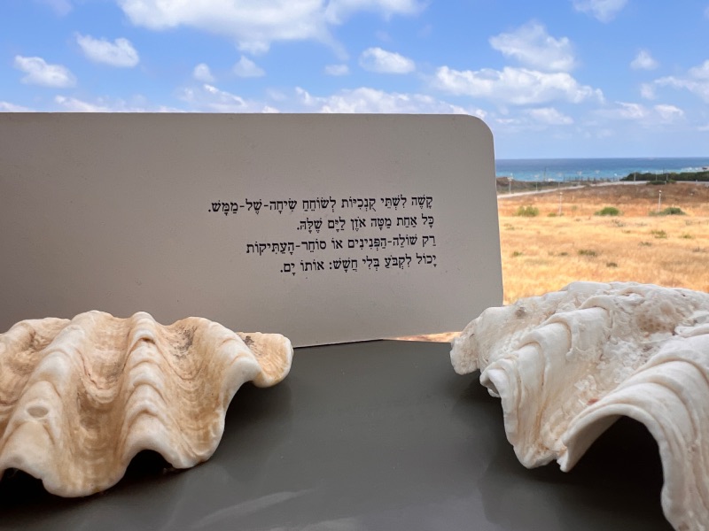 דירה לחופשה למשפחות בצפון