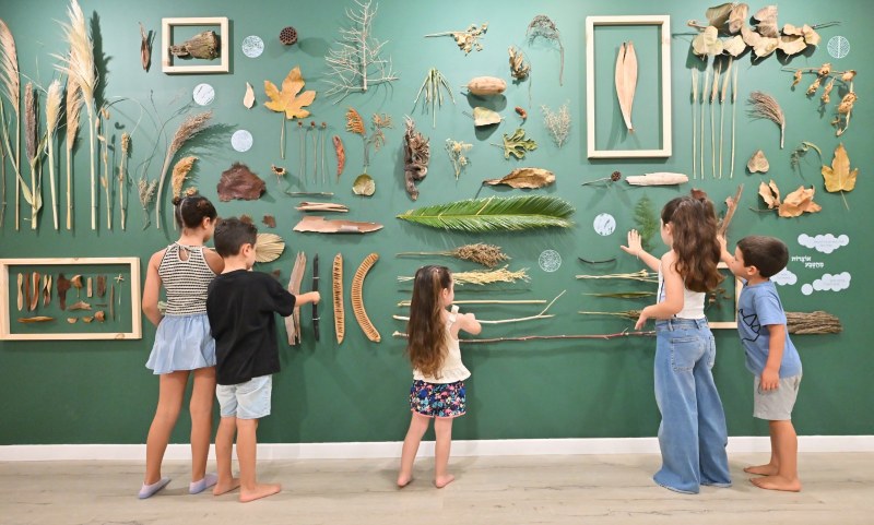 המוזיאון הראשון שלי