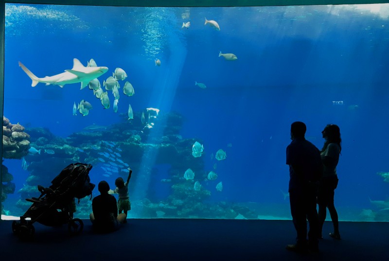 המצפה התת ימי