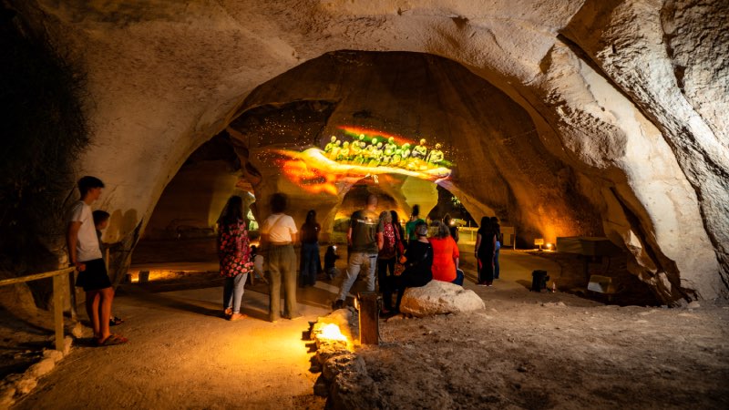 נארי מיצג וידאו ארט בית גוברין