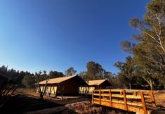 גלאמפינג פארק קצרין