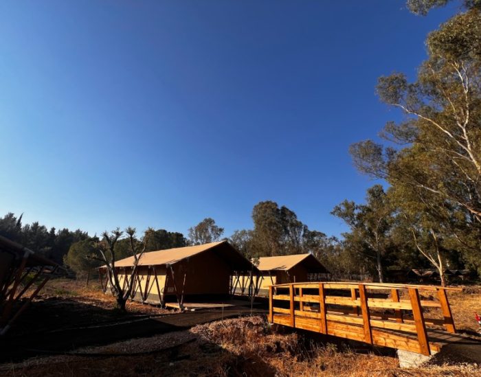 גלאמפינג פארק קצרין