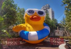 צילמה: שלגית אשטמקר