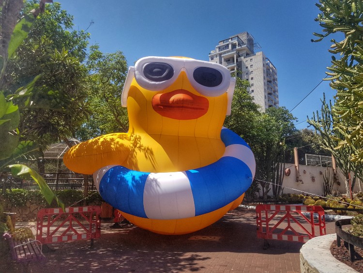 צילמה: שלגית אשטמקר