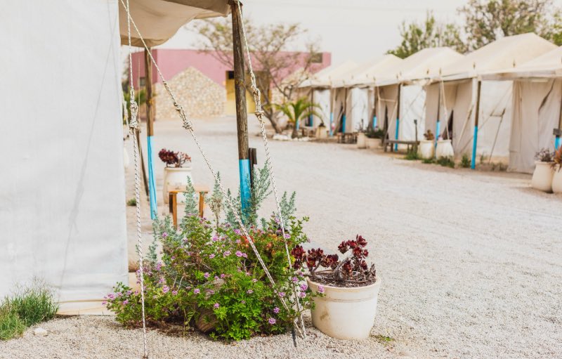 הגלאמפינג של ג׳ייקוב במצפה רמון