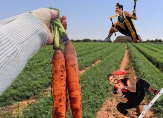 משוך בגזר