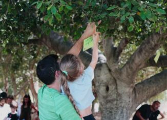 מקשטים את העץ במשאלות לשנה החדשה
