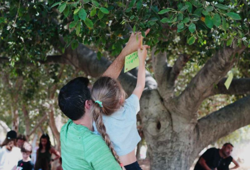 מקשטים את העץ במשאלות לשנה החדשה