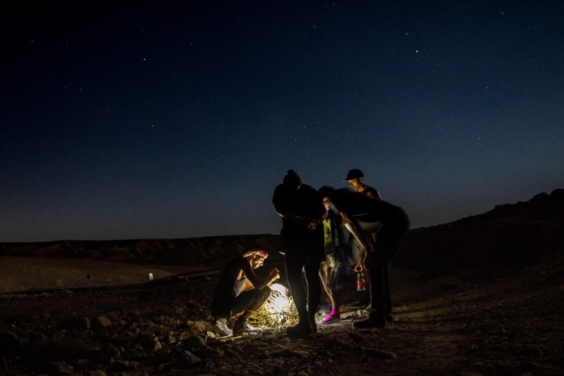 סיור עקרבים כפר נוקדים