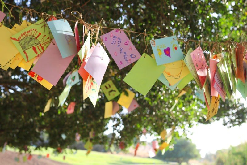 עץ המשאלות בגן לאומי ירקון, תל אפק