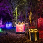 פסטיבל האורות בגן הבוטני | צילום: הגן הבוטני ירושלים