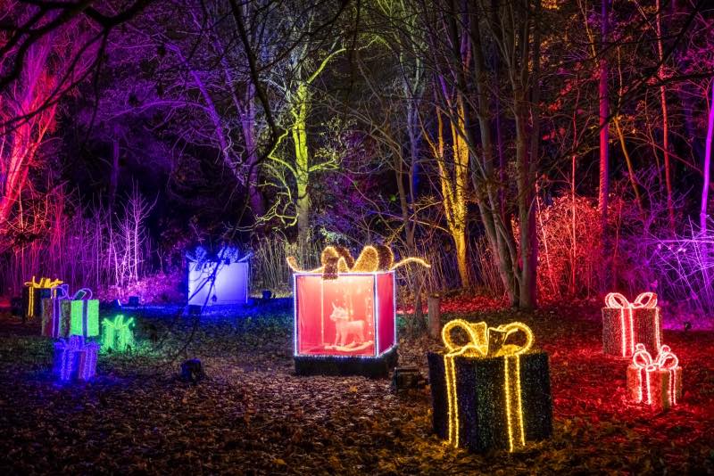 פסטיבל האורות בגן הבוטני | צילום: הגן הבוטני ירושלים