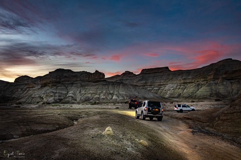 טיול גיפים ערד