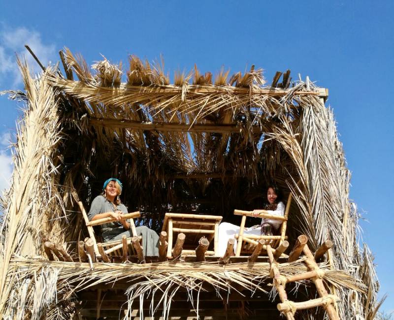 סוכות בנאות קדומים