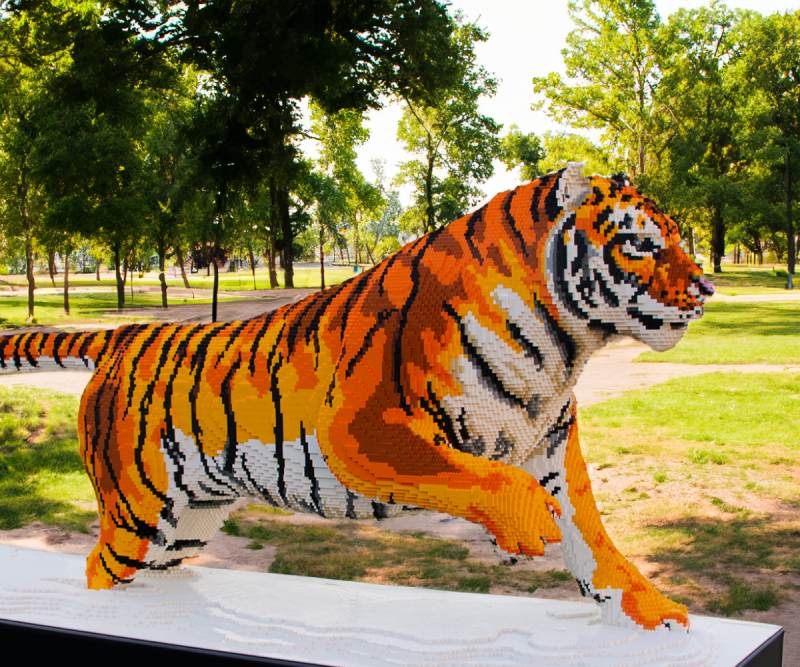 תערוכת הלגו בעכו סוכות 2025