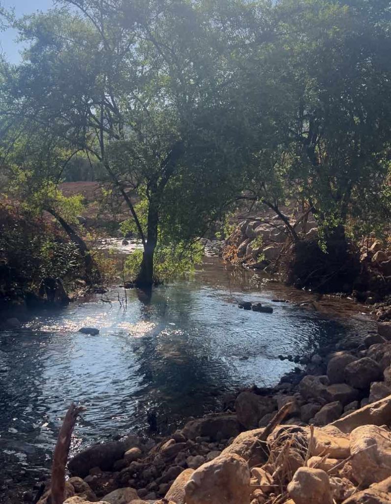 בריכות השכשוך בנחל צלמון