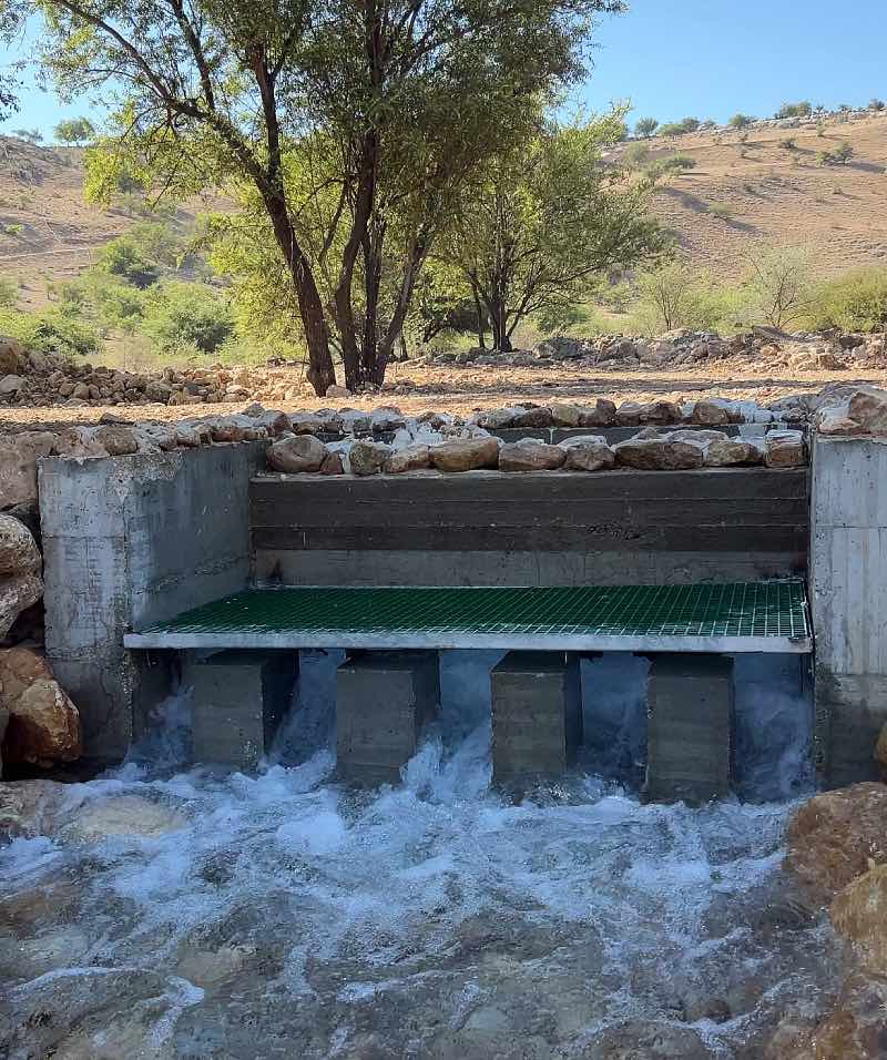 עין רביד נחל צלמון