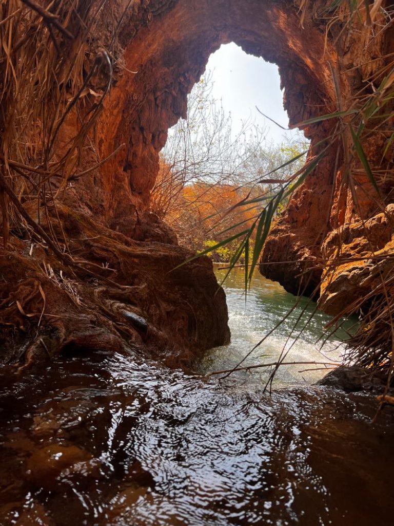 נחל צלמון תחתון גשר הטרוורטין