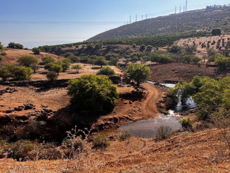 מסלול עין רביד נחל צלמון - העיקול הגדול ליד לבנים