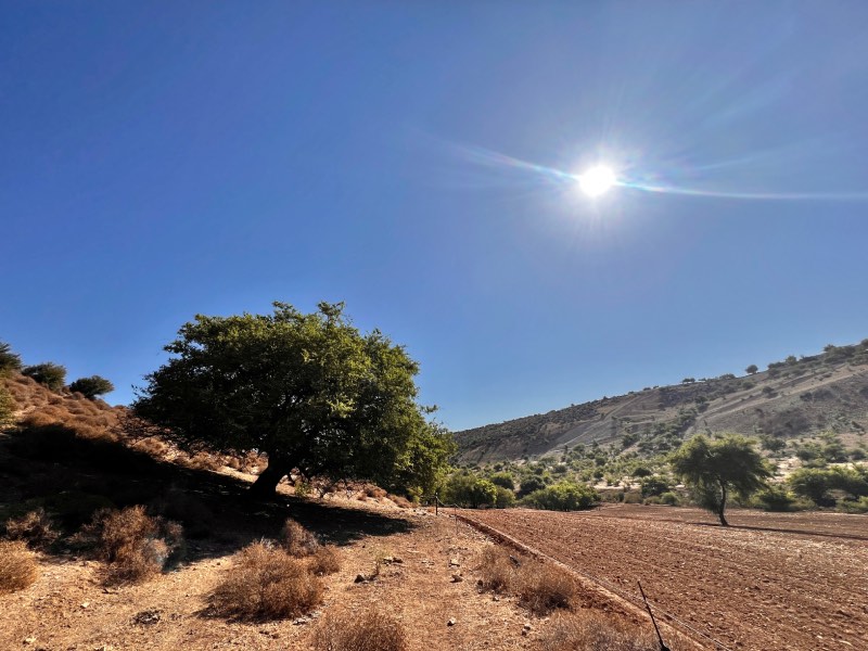 נחל צלמון המסלול התחתון