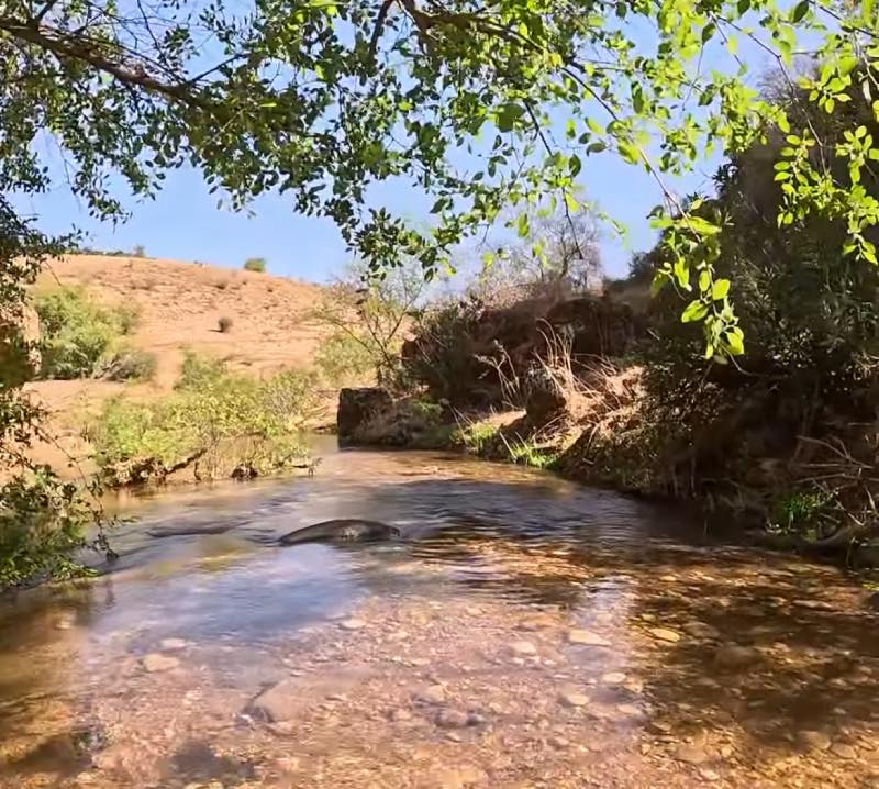 נחל צלמון בריכוצ שכשוך