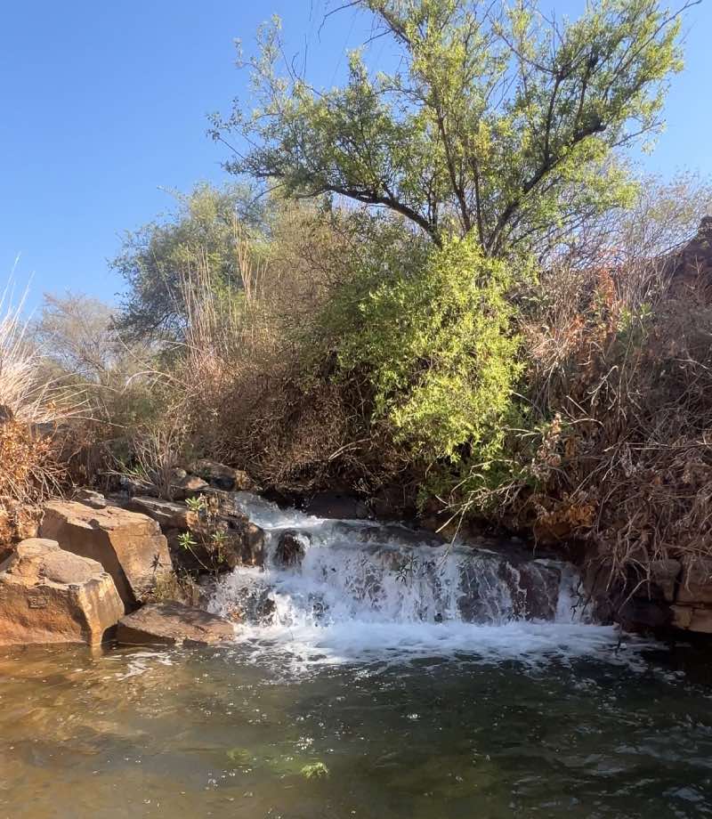 מפלונים ובריכות שכשוך 