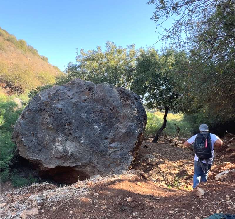 המסלול המוצל בנחל צלמון