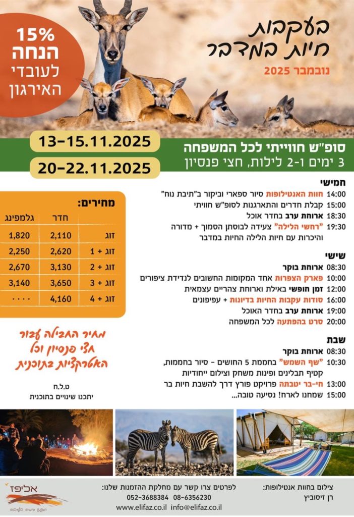 תכנית סופ״ש למשפחות בערבה