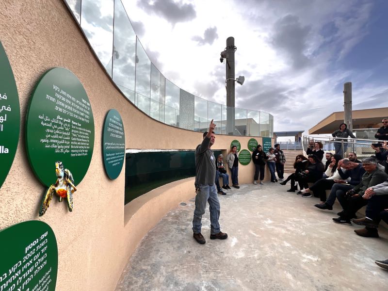 סיורים מודרכים לקבוצות במרכז להצלת צבי ים