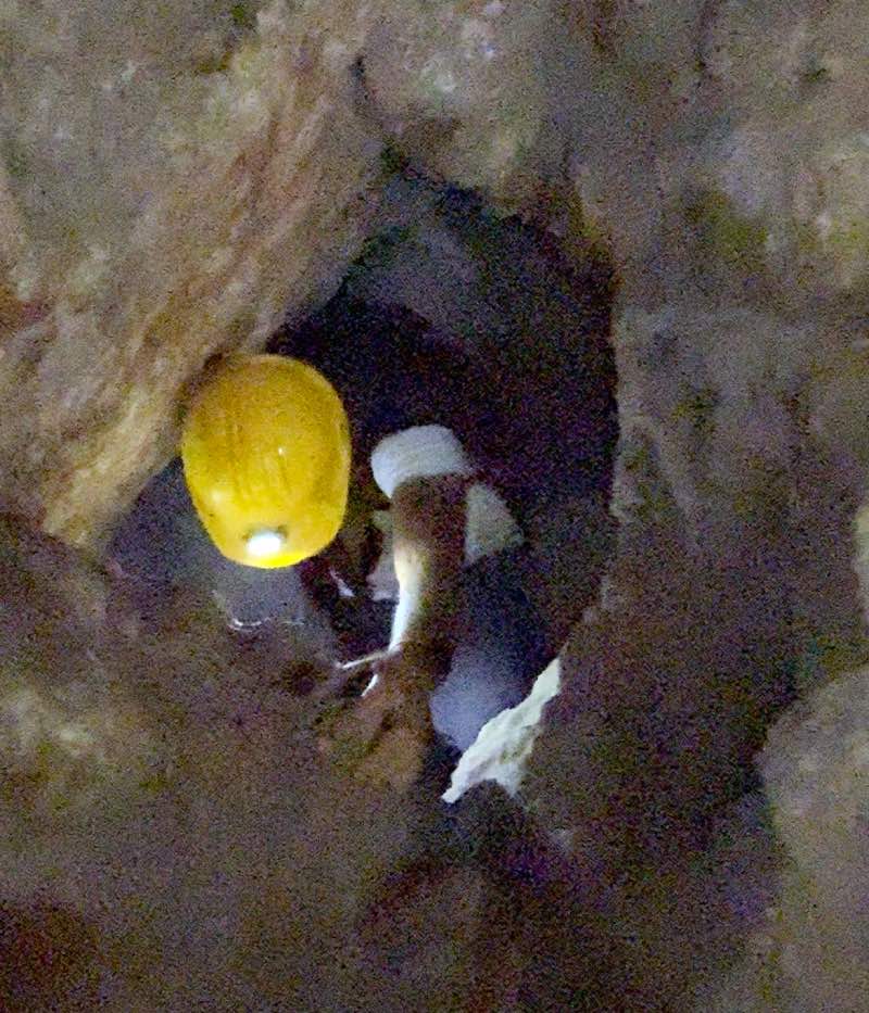 מערת צדקיהו הסודית