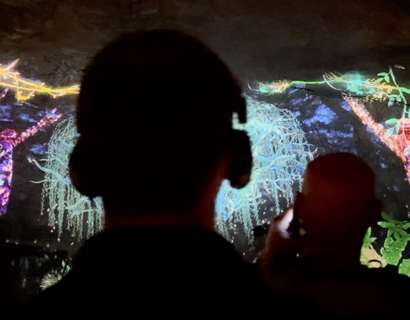 סיור אזניות מערת צדקיהו