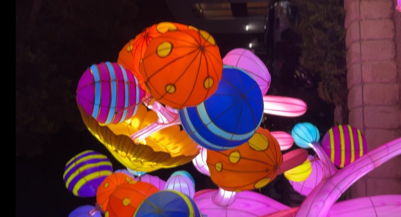 עולם האגדות | צילומים: שני תמרי רייכנברג 