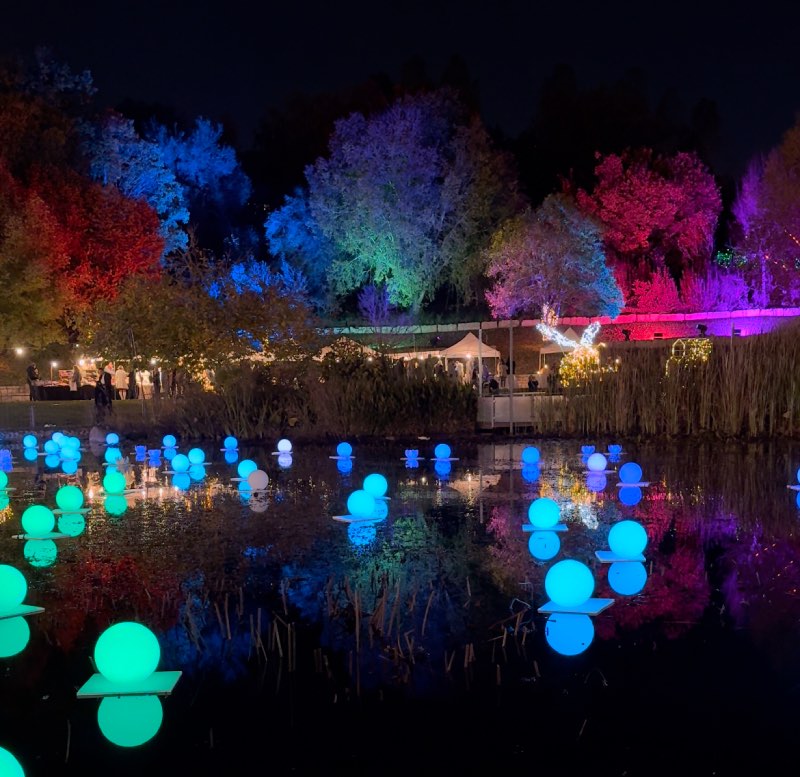 וינטר דרימז בגן הבוטני