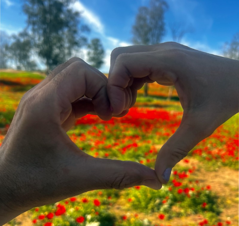 דרום בלב 2026