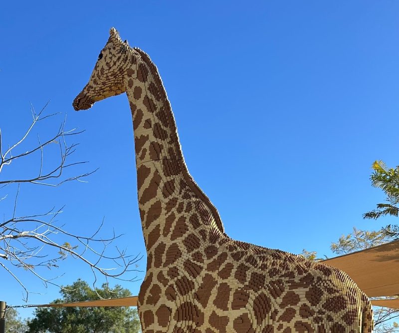 חיות מקוביות במדבריום