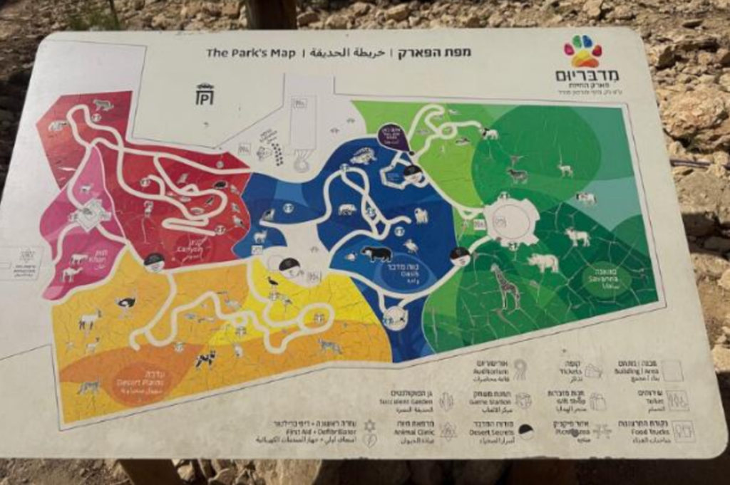 תערוכת הלגו 