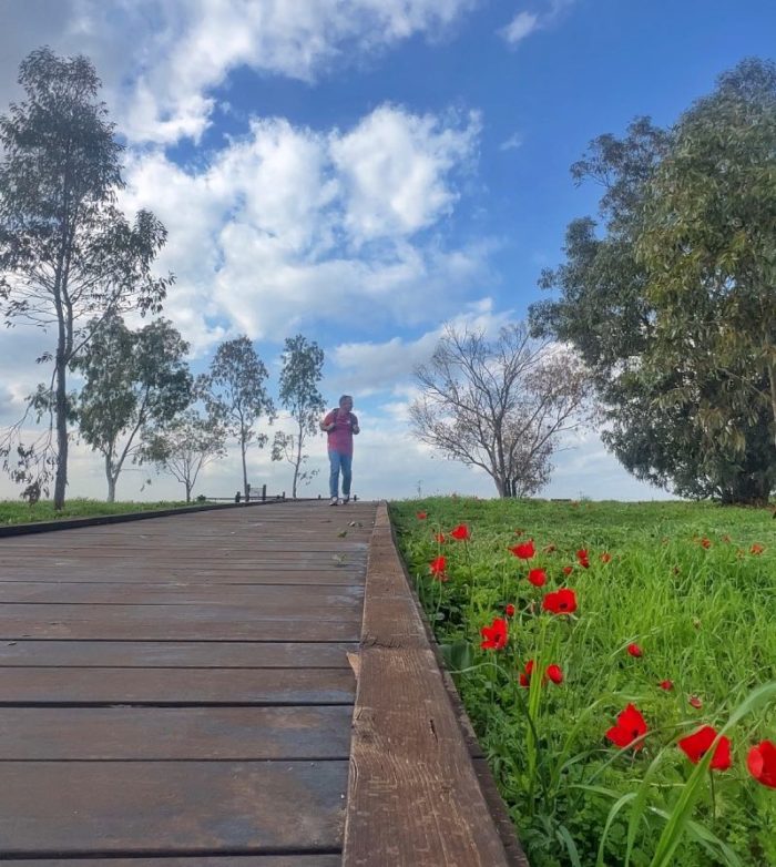 פסטיבל דרום בלב 2026