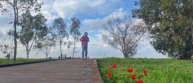 פסטיבל דרום בלב 2026