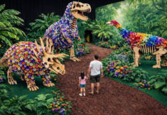 תערוכת הפרחים פסח 2026