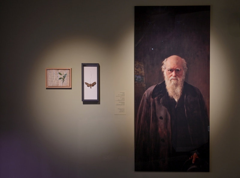 דרווין מתוך תערוכת האבקה 