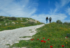 צעדת הפריחה בית גוברין