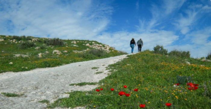 צעדת הפריחה בית גוברין