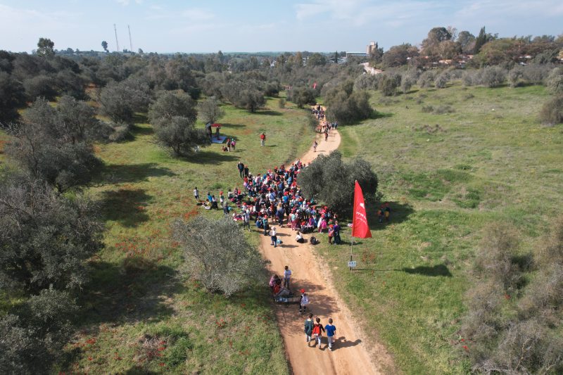 צעדת הכלניות 2026