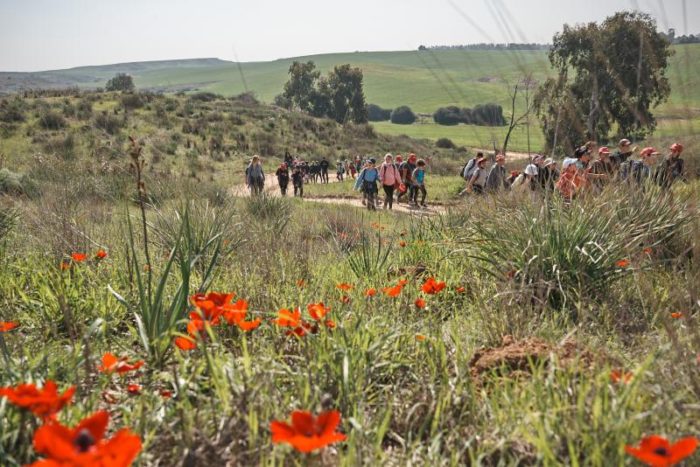 צעדת הכלניות 2026
